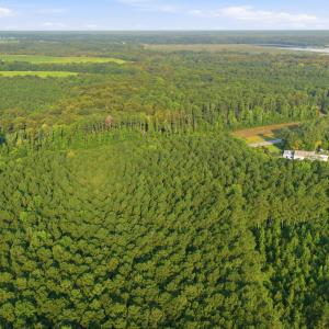 Photo #15 of Ken Trowbridge, Plymouth, NC 5.0 acres
