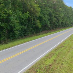 Photo #10 of Ken Trowbridge, Plymouth, NC 5.0 acres