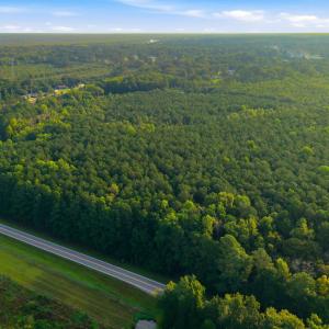 Photo #12 of Ken Trowbridge, Plymouth, NC 5.0 acres