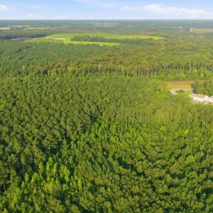 Photo #14 of Ken Trowbridge, Plymouth, NC 5.0 acres