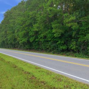 Photo #7 of Ken Trowbridge, Plymouth, NC 5.0 acres