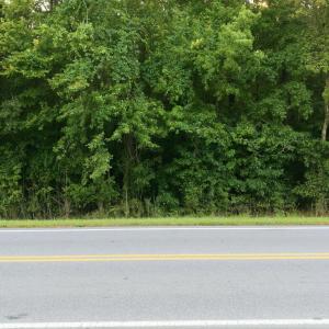 Photo #6 of Ken Trowbridge, Plymouth, NC 5.0 acres