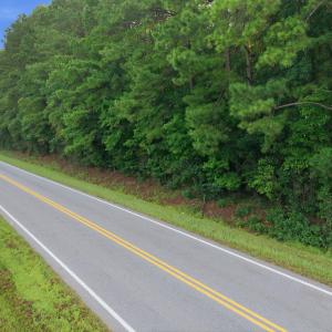 Photo #8 of Ken Trowbridge, Plymouth, NC 5.0 acres