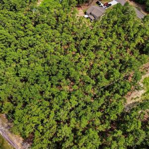 Photo #5 of 29841 Peach Orchard, Wagram, NC 1.1 acres