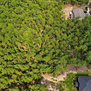 Photo #4 of 29841 Peach Orchard, Wagram, NC 1.1 acres