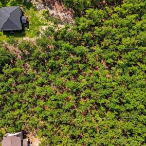 Photo #10 of 29841 Peach Orchard, Wagram, NC 1.1 acres