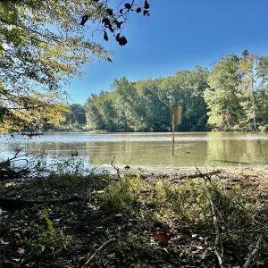 IMG_6680