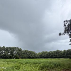 Photo #1 of 0 Sr1001 Cherry Run Road, Washington, NC 13.9 acres