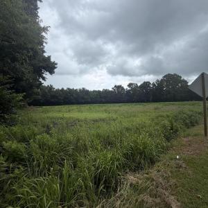 Photo #3 of 0 Sr1001 Cherry Run Road, Washington, NC 13.9 acres