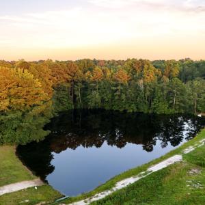 Photo #1 of 540 Sanctuary Trail, Cameron, NC 9.6 acres