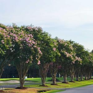 Photo #15 of 21-Y Randolph, Hertford, NC 0.3 acres