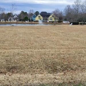 Photo #6 of 21-Y Randolph, Hertford, NC 0.3 acres