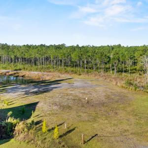Photo #5 of 97 Keeneland, Rocky Point, NC 4.3 acres