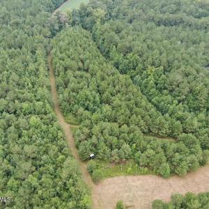 Photo #21 of 359 Roe And Sarah, Clarkton, NC 69.3 acres
