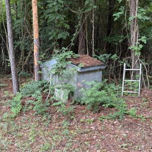 Photo #5 of 359 Roe And Sarah, Clarkton, NC 69.3 acres
