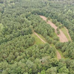 Photo #20 of 359 Roe And Sarah, Clarkton, NC 69.3 acres