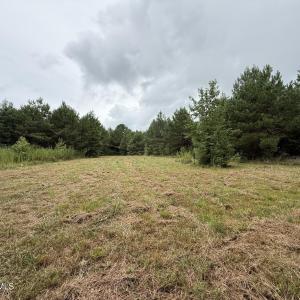 Photo #9 of 359 Roe And Sarah, Clarkton, NC 69.3 acres