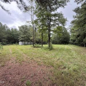 Photo #3 of 359 Roe And Sarah, Clarkton, NC 69.3 acres