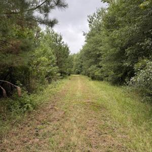 Photo #8 of 359 Roe And Sarah, Clarkton, NC 69.3 acres