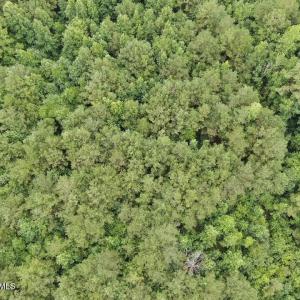 Photo #28 of 359 Roe And Sarah, Clarkton, NC 69.3 acres
