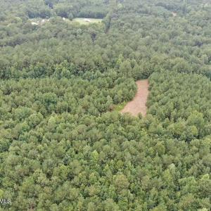 Photo #23 of 359 Roe And Sarah, Clarkton, NC 69.3 acres