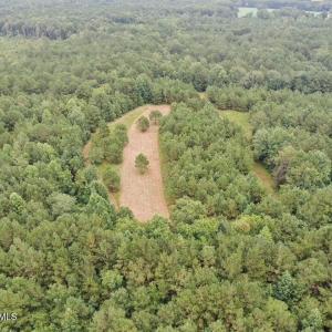Photo #27 of 359 Roe And Sarah, Clarkton, NC 69.3 acres
