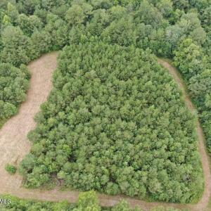 Photo #22 of 359 Roe And Sarah, Clarkton, NC 69.3 acres