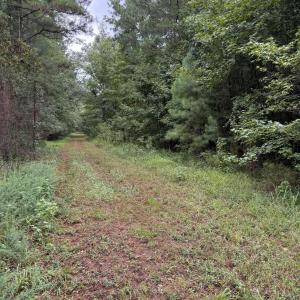 Photo #7 of 359 Roe And Sarah, Clarkton, NC 69.3 acres