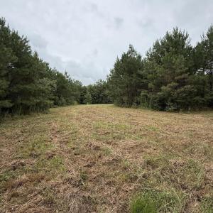 Photo #12 of 359 Roe And Sarah, Clarkton, NC 69.3 acres