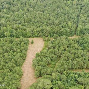 Photo #25 of 359 Roe And Sarah, Clarkton, NC 69.3 acres