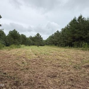 Photo #15 of 359 Roe And Sarah, Clarkton, NC 69.3 acres