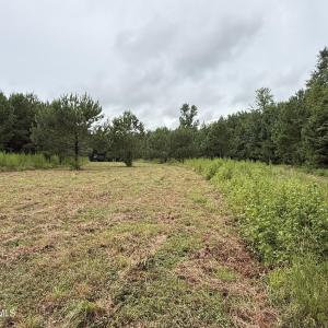 Photo #17 of 359 Roe And Sarah, Clarkton, NC 69.3 acres