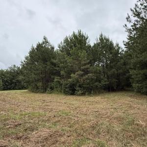Photo #13 of 359 Roe And Sarah, Clarkton, NC 69.3 acres