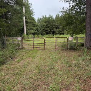 Photo #2 of 359 Roe And Sarah, Clarkton, NC 69.3 acres