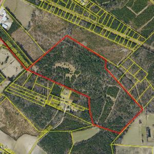 Photo #1 of 359 Roe And Sarah, Clarkton, NC 69.3 acres