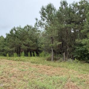 Photo #18 of 359 Roe And Sarah, Clarkton, NC 69.3 acres