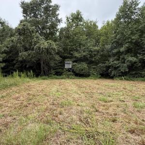 Photo #16 of 359 Roe And Sarah, Clarkton, NC 69.3 acres