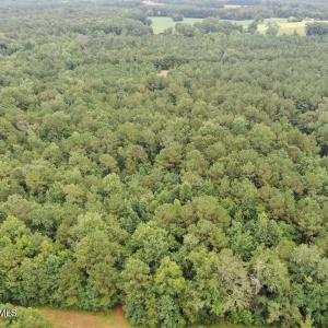 Photo #26 of 359 Roe And Sarah, Clarkton, NC 69.3 acres