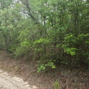 Photo #1 of Leonard, North Augusta, SC 0.7 acres