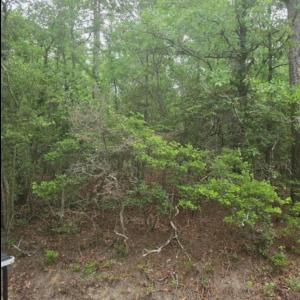 Photo #2 of Leonard, North Augusta, SC 0.7 acres