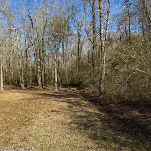Photo #19 of Fred, Kenly, NC 36.5 acres