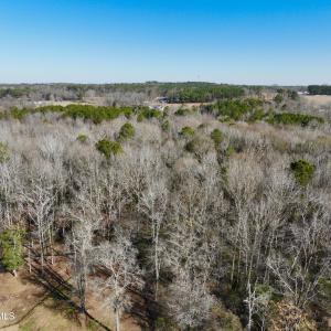 Photo #18 of Fred, Kenly, NC 36.5 acres