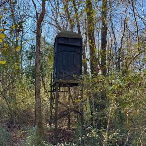 Photo #3 of Fred, Kenly, NC 36.5 acres