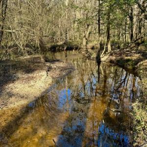 Photo #5 of Fred, Kenly, NC 36.5 acres