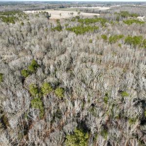 Photo #17 of Fred, Kenly, NC 36.5 acres