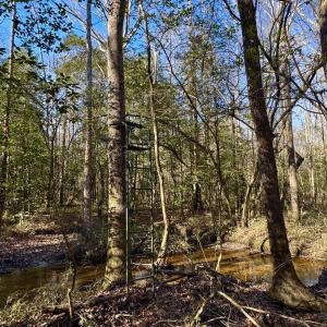Photo #7 of Fred, Kenly, NC 36.5 acres