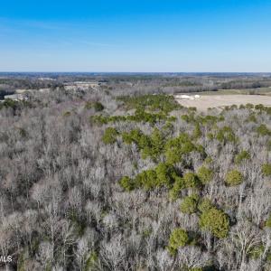 Photo #15 of Fred, Kenly, NC 36.5 acres