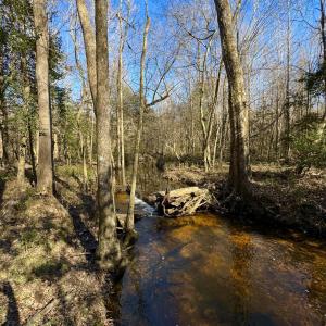 Photo #1 of Fred, Kenly, NC 36.5 acres