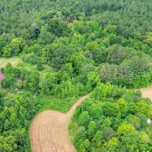 Photo #13 of 2701 Ike Brooks, Siler City, NC 9.7 acres