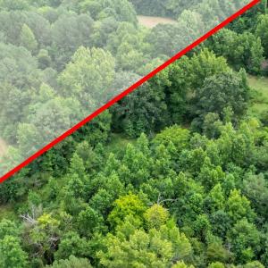 Photo #9 of 2701 Ike Brooks, Siler City, NC 9.7 acres